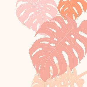 Meet your Posher, Mikala